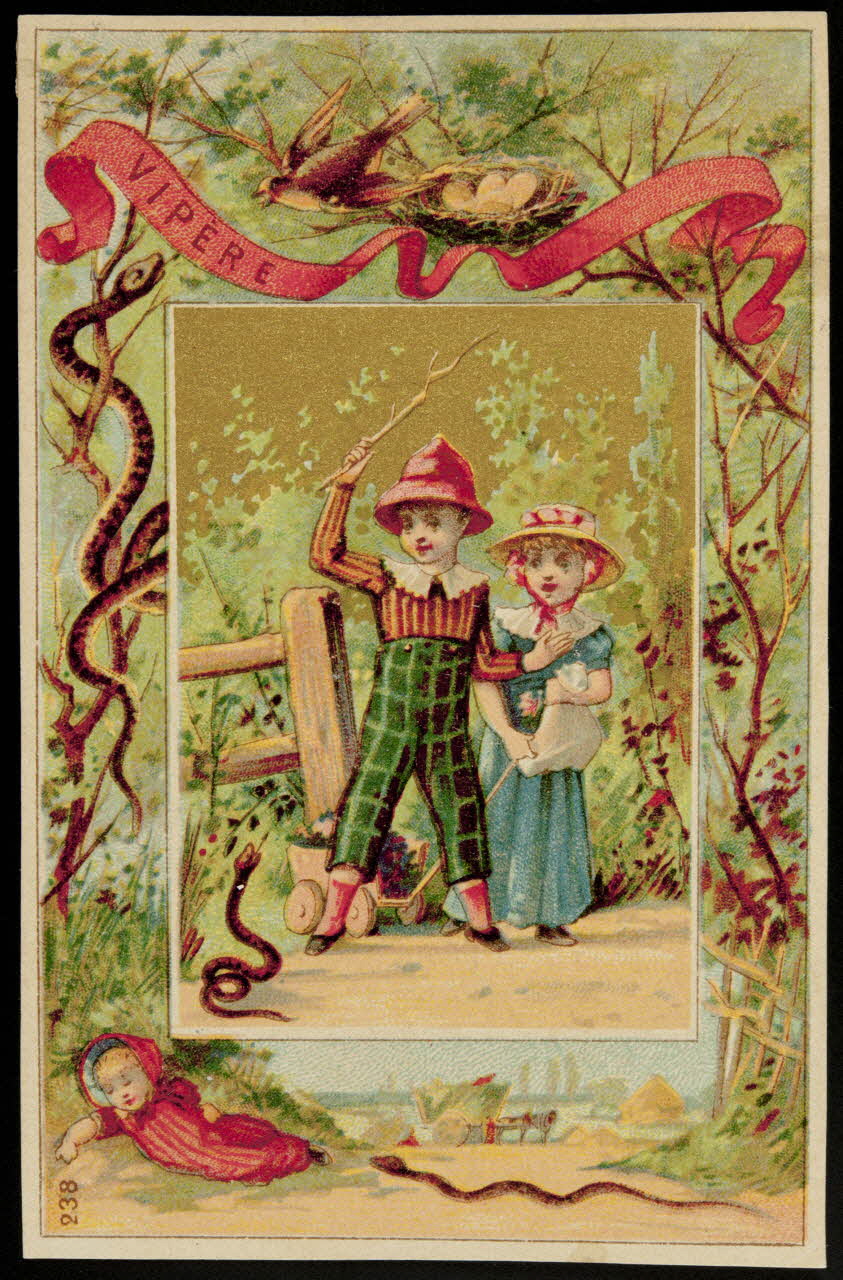 carte réclame chromo Dôle 1880-1900 1995.1.1824.9 Photo