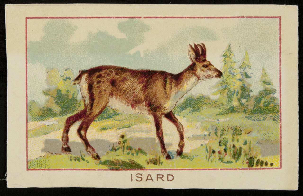 carte réclame chromo 1995.1.2004.5 Photo