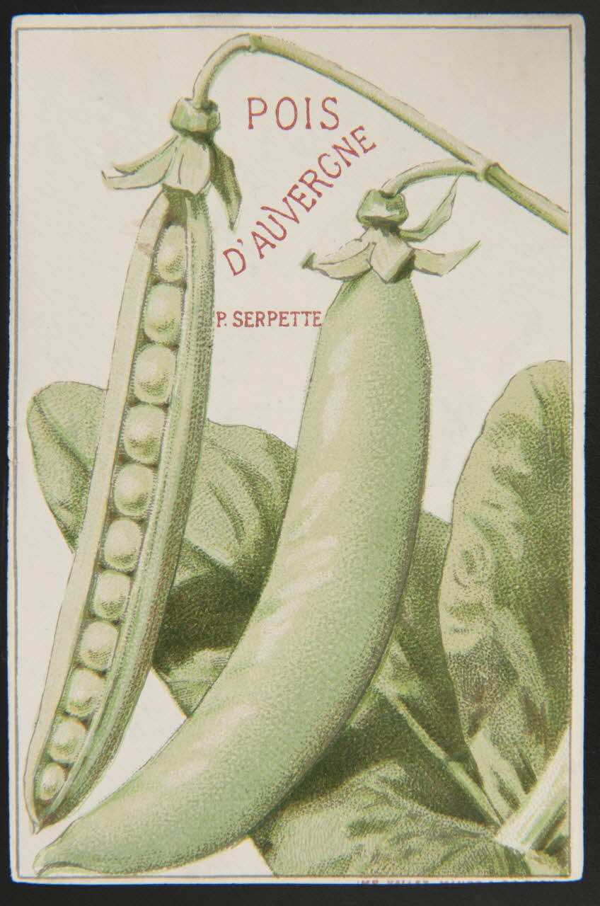 Vallet-Minot et Cie carte réclame chromo Paris 1881-1884 1995.1.2163.10 Photo