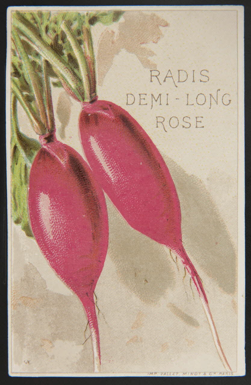 Vallet-Minot et Cie carte réclame chromo Paris 1881-1884 1995.1.2163.11 Photo