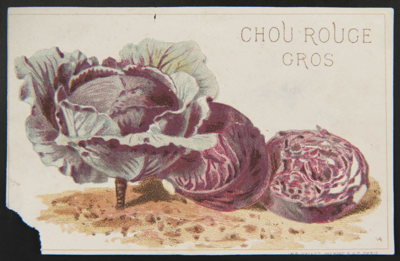 Vallet-Minot et Cie carte réclame chromo Paris 1881-1884 1995.1.2163.5 Photo