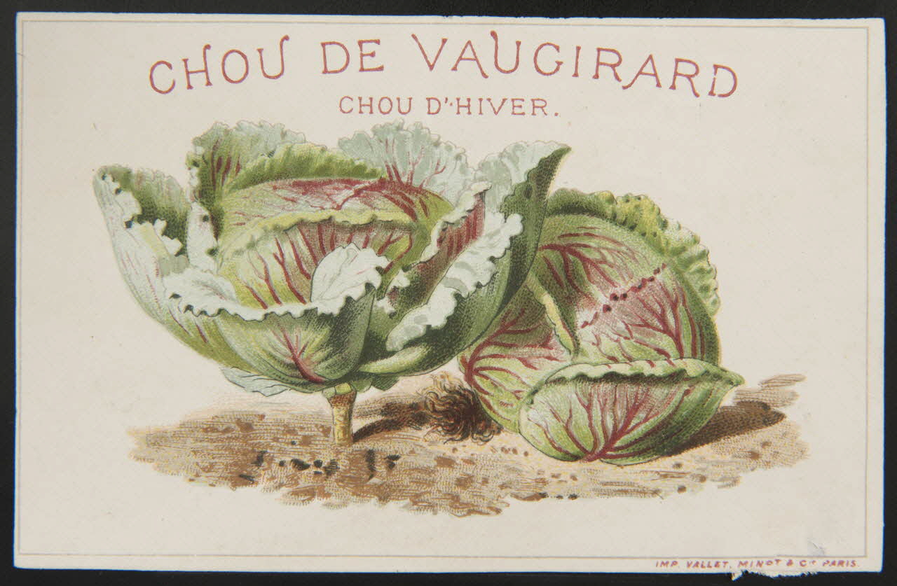 Vallet-Minot et Cie carte réclame chromo Paris 1881-1884 1995.1.2163.6 Photo