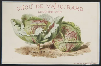 Vallet-Minot et Cie carte réclame chromo Paris 1881-1884 1995.1.2163.6 Photo