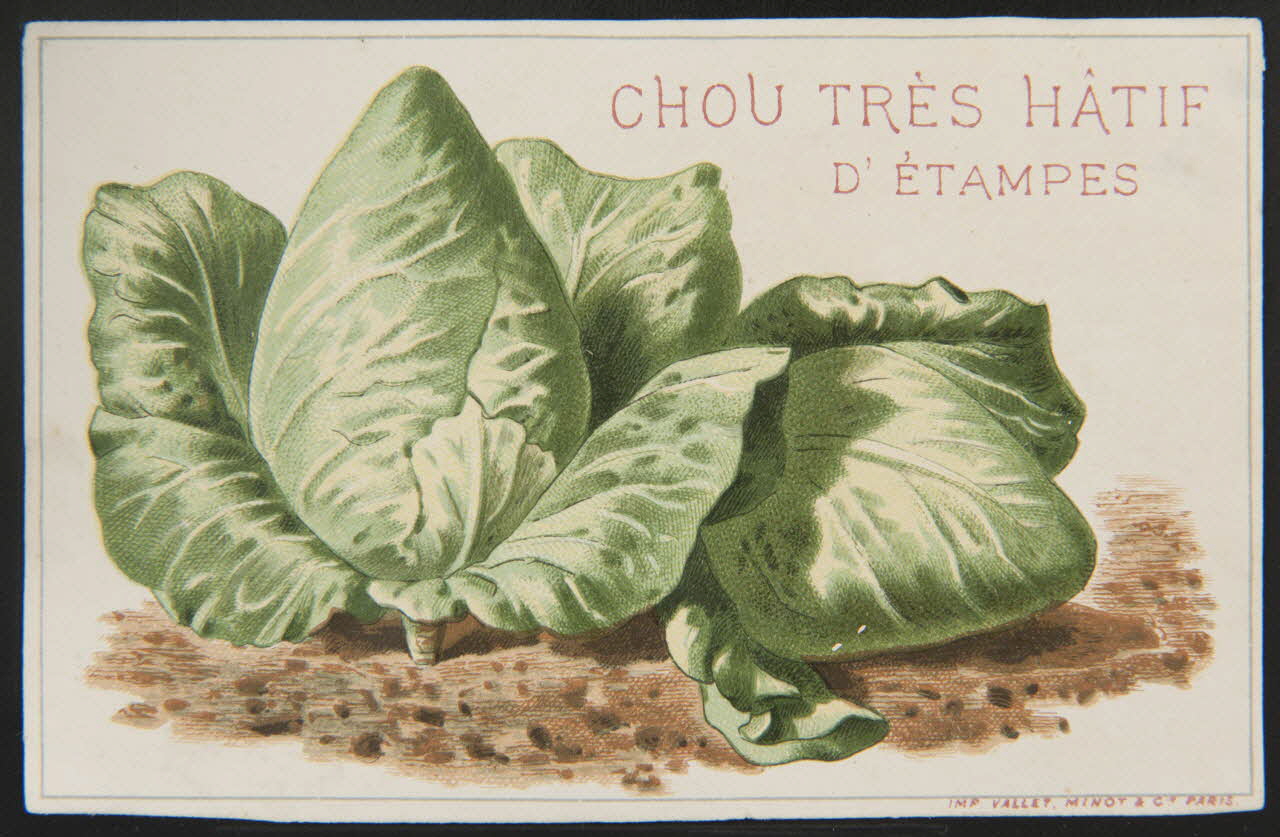 Vallet-Minot et Cie carte réclame chromo Paris 1881-1884 1995.1.2163.7 Photo