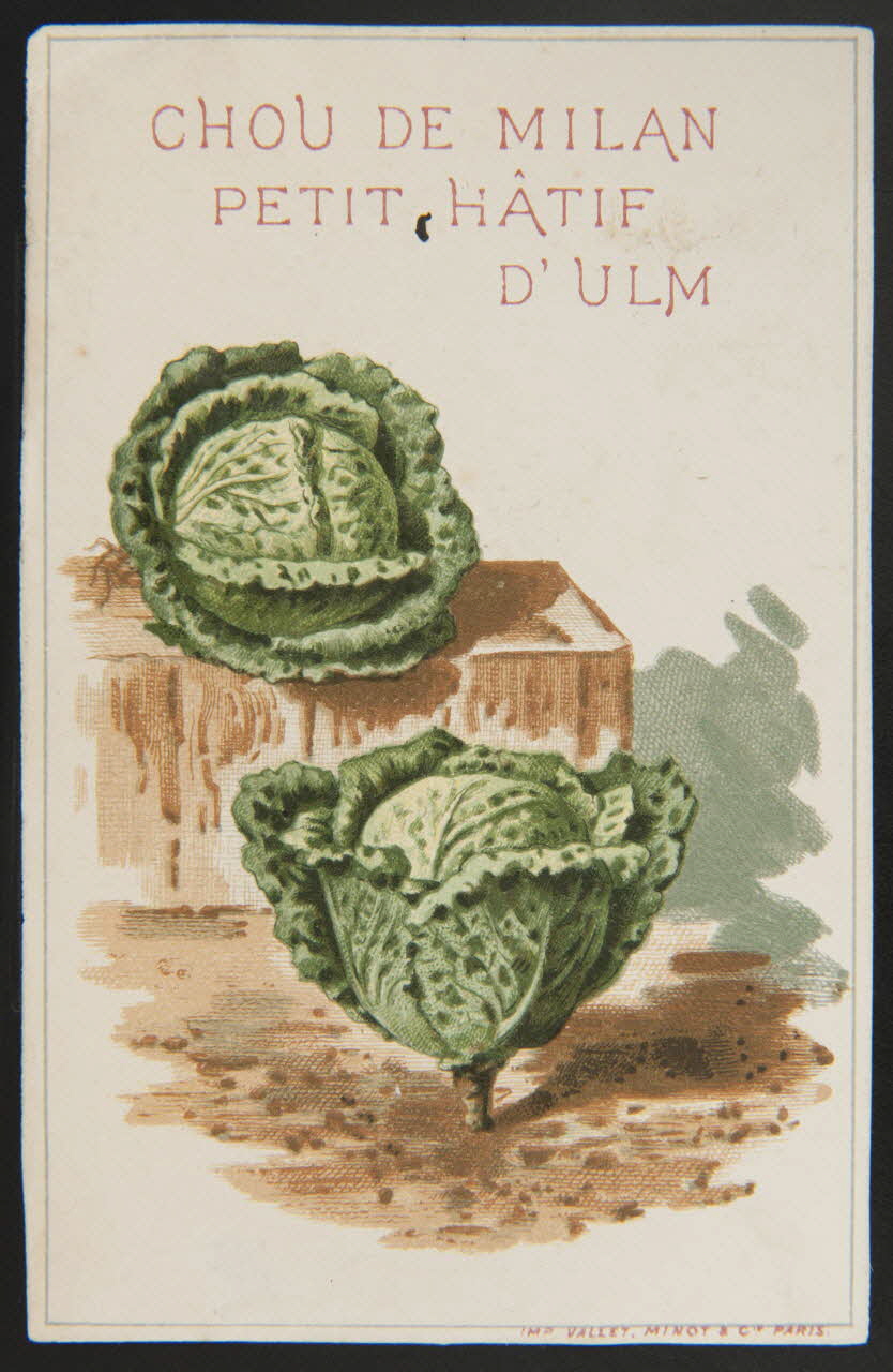 Vallet-Minot et Cie carte réclame chromo Paris 1881-1884 1995.1.2163.9 Photo