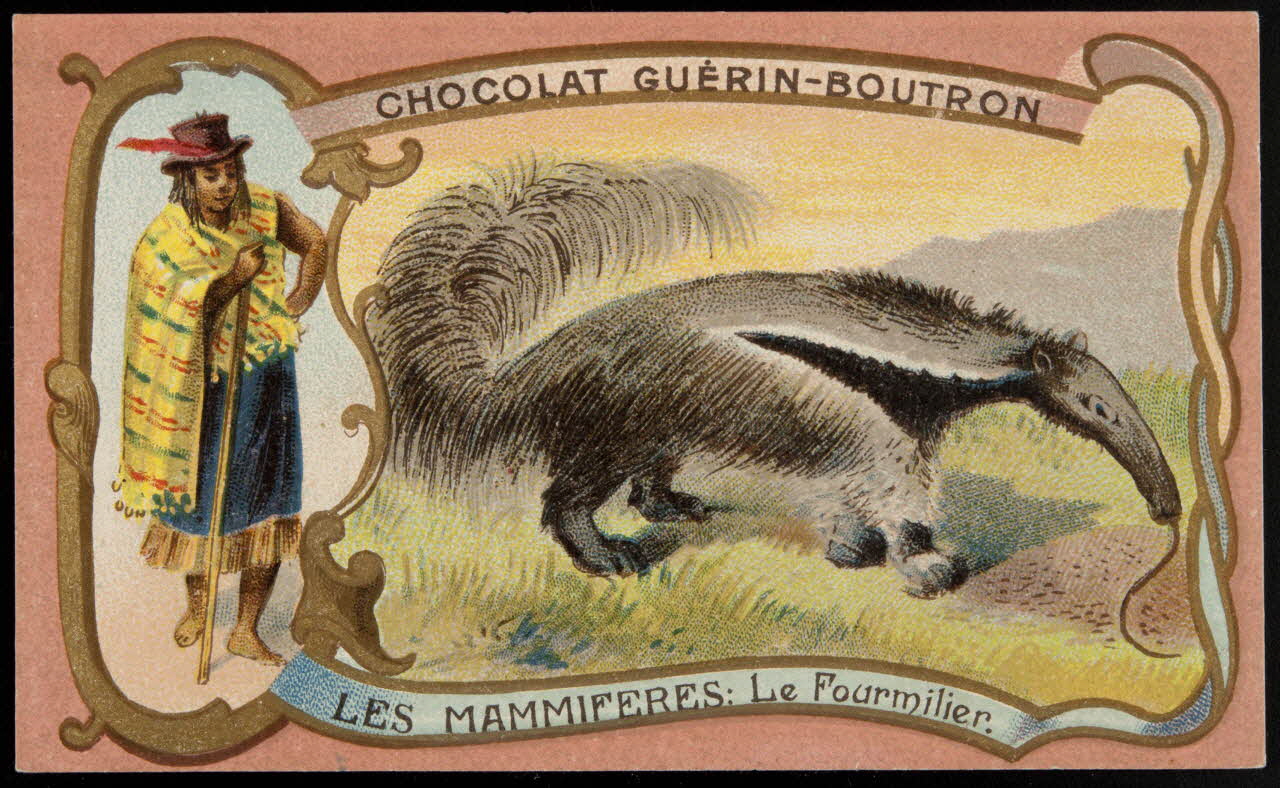 Herold; carte réclame chromo Paris 1895-1914 1995.1.217.31 Photo