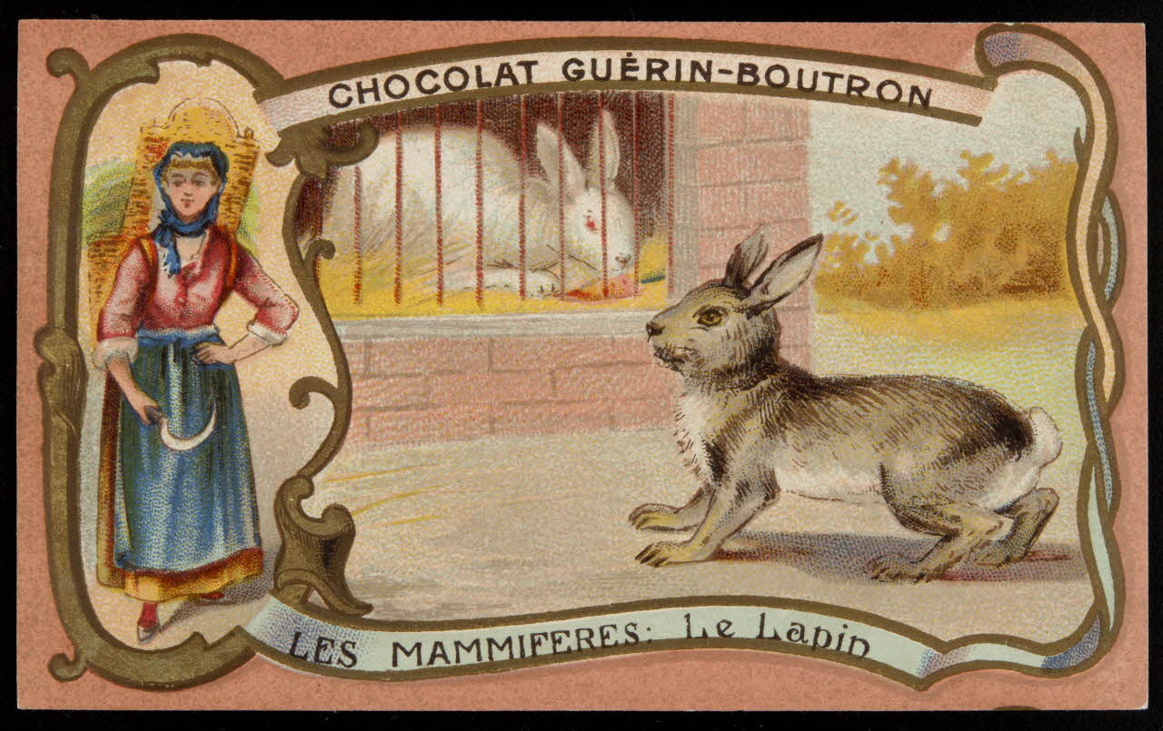 Herold; carte réclame chromo Paris 1895-1914 1995.1.217.45 Photo