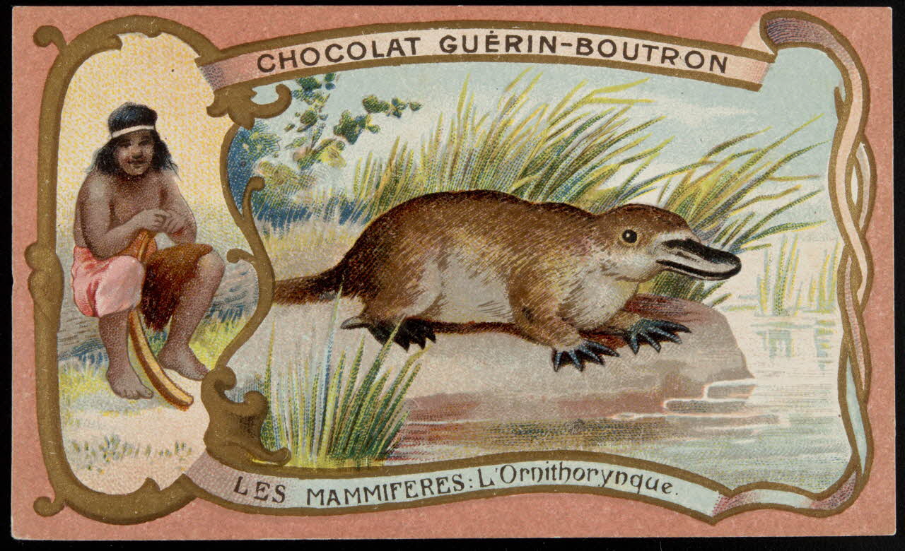 Herold; carte réclame chromo Paris 1895-1914 1995.1.217.57 Photo