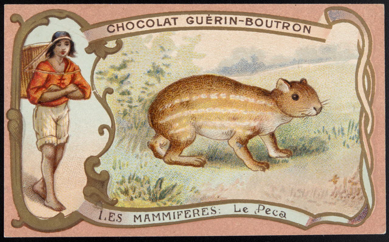 Herold; carte réclame chromo Paris 1895-1914 1995.1.217.61 Photo