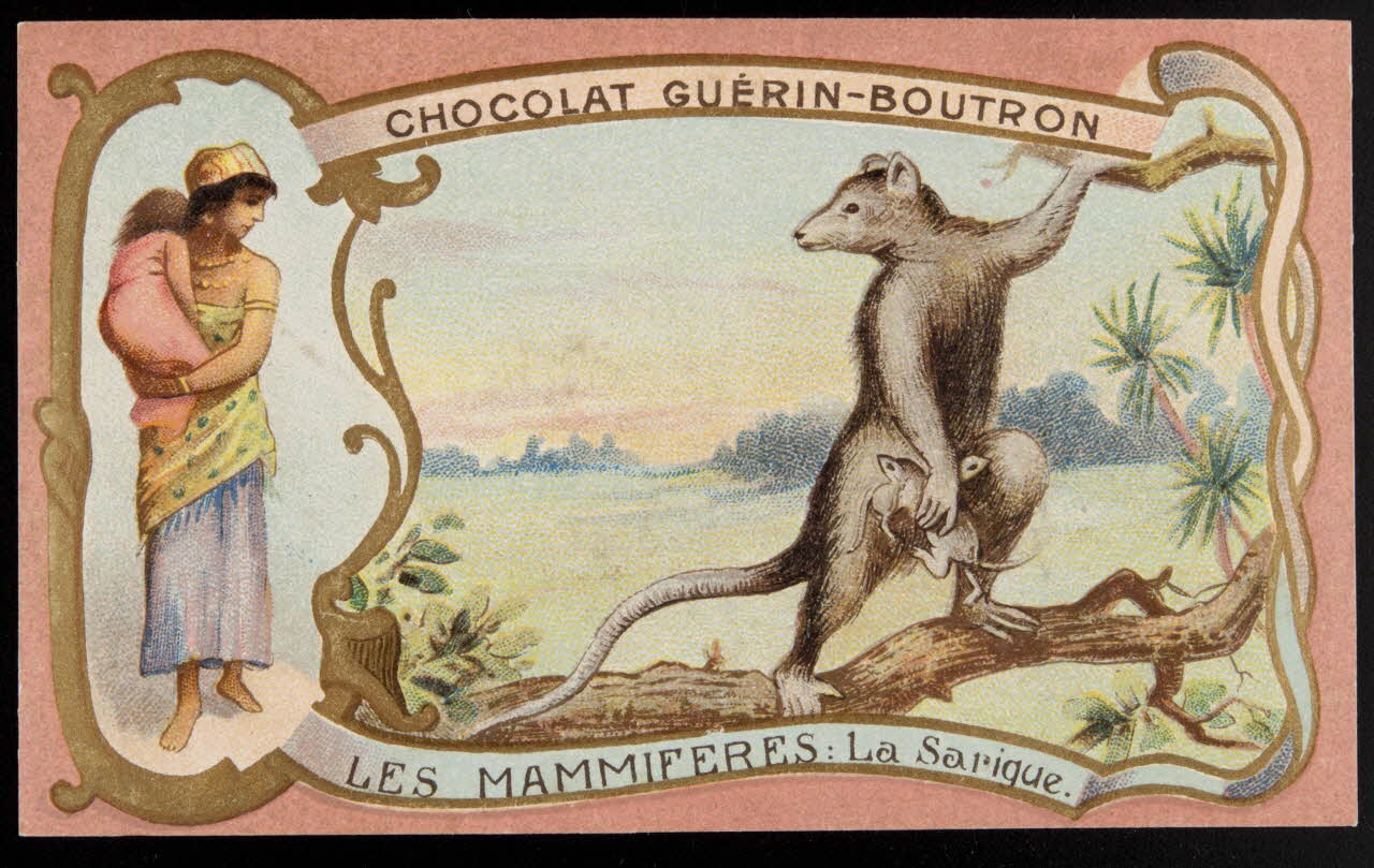 Herold; carte réclame chromo Paris 1895-1914 1995.1.217.74 Photo