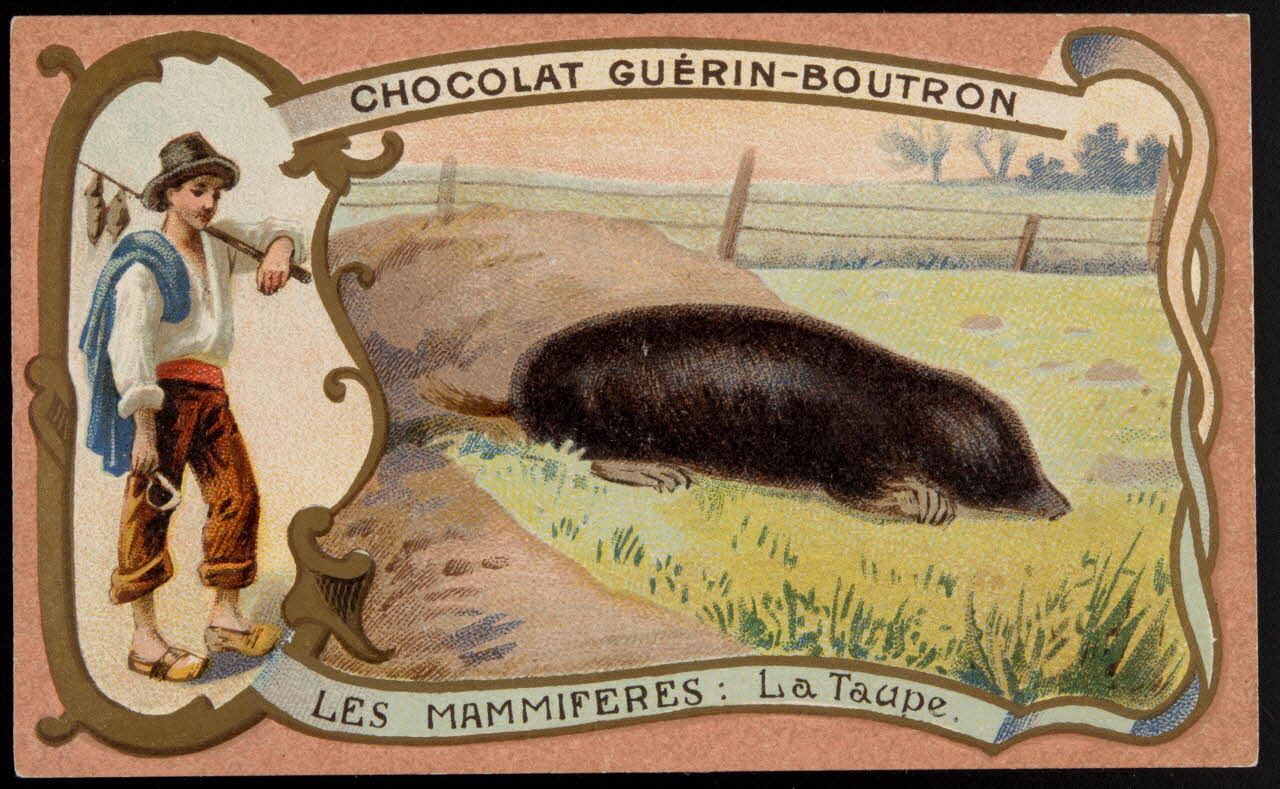 Herold; carte réclame chromo Paris 1895-1914 1995.1.217.78 Photo