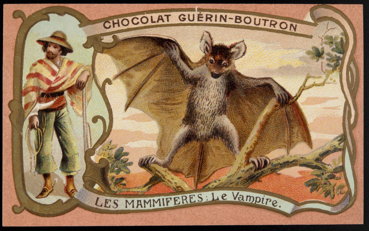 Herold; carte réclame chromo Paris 1895-1914 1995.1.217.81 Photo