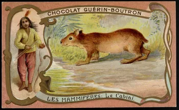 Herold; carte réclame chromo Paris 1895-1914 1995.1.217.9 Photo