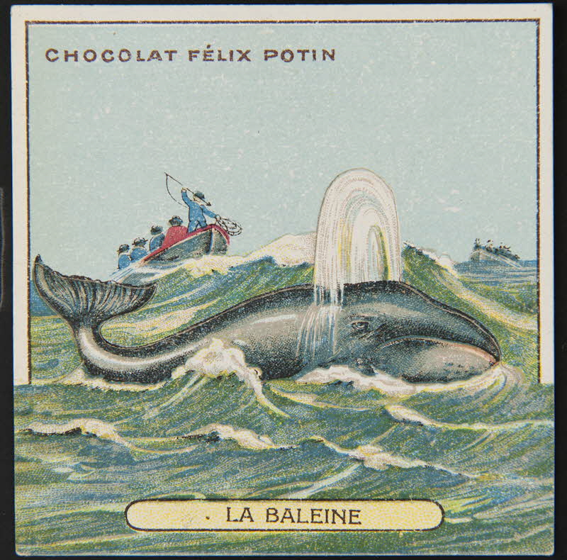 carte réclame chromo 1995.1.2173.5 Photo