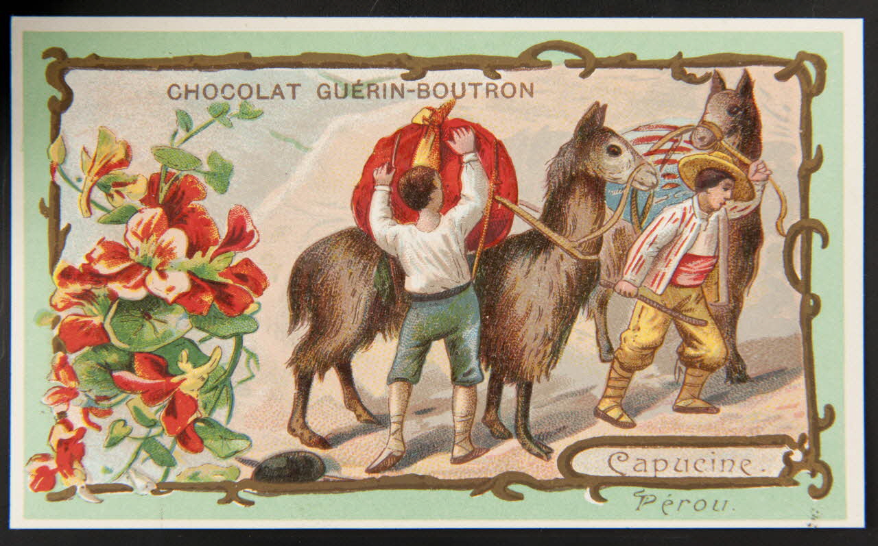 Herold; carte réclame chromo Paris 1895-1914 1995.1.218.18 Photo