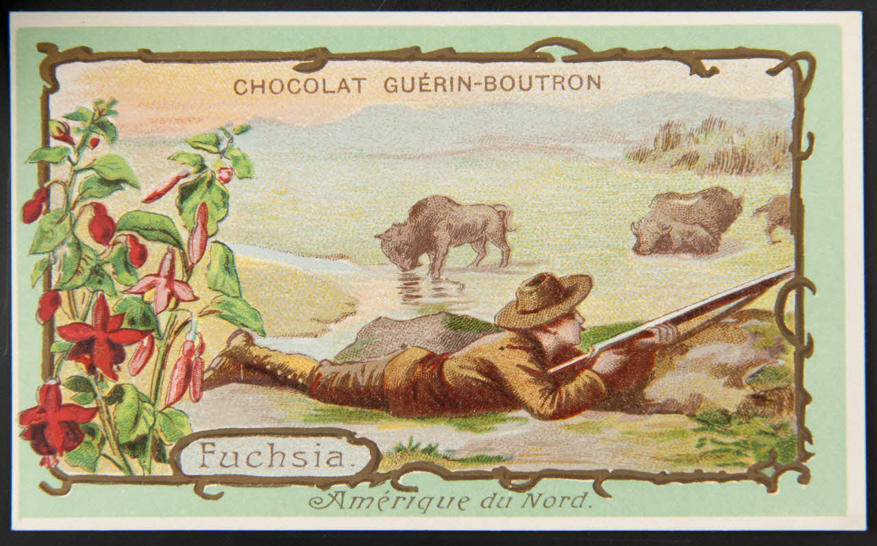 Herold; carte réclame chromo Paris 1895-1914 1995.1.218.31 Photo