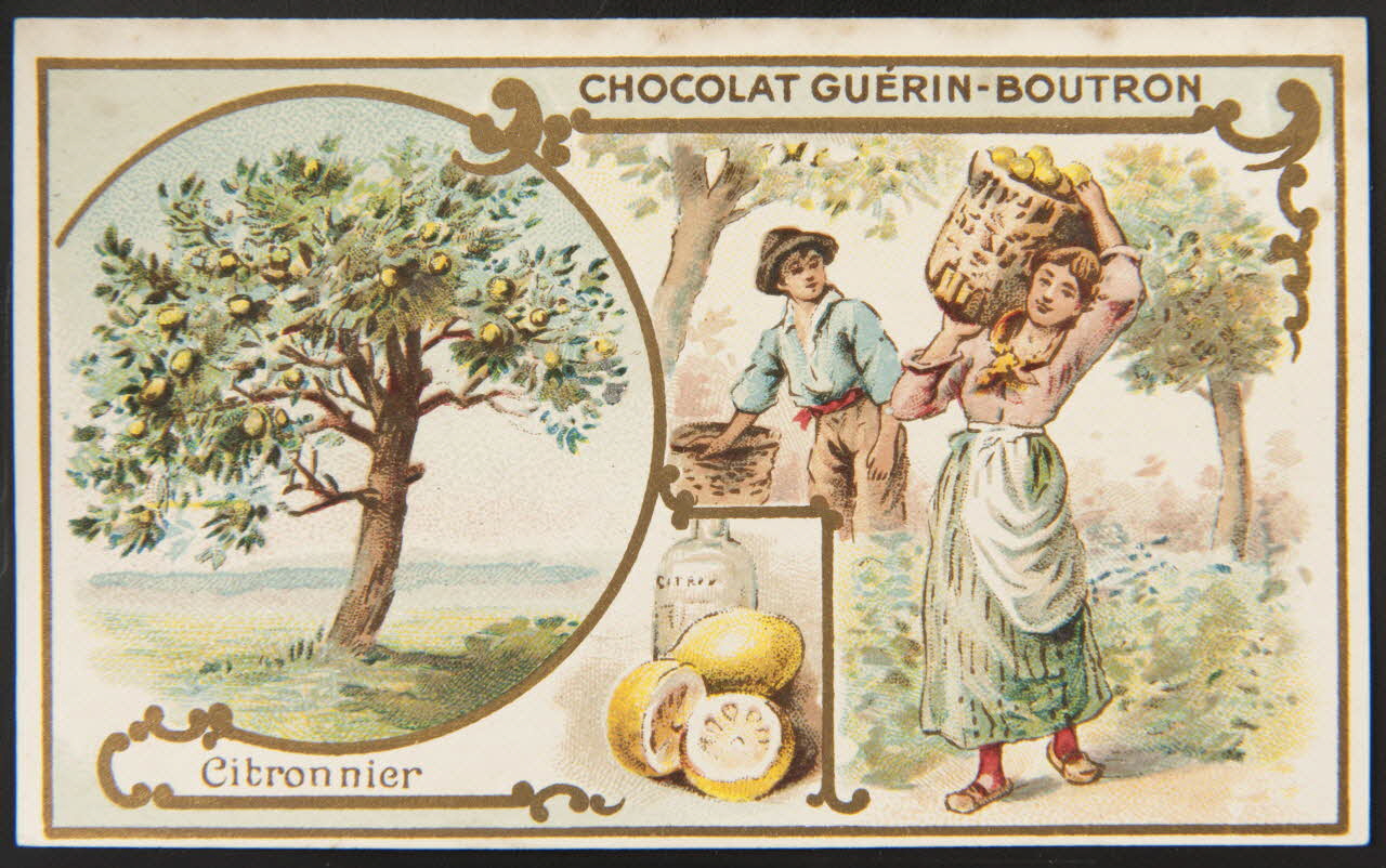 Herold; carte réclame chromo Paris 1895-1914 1995.1.221.24 Photo