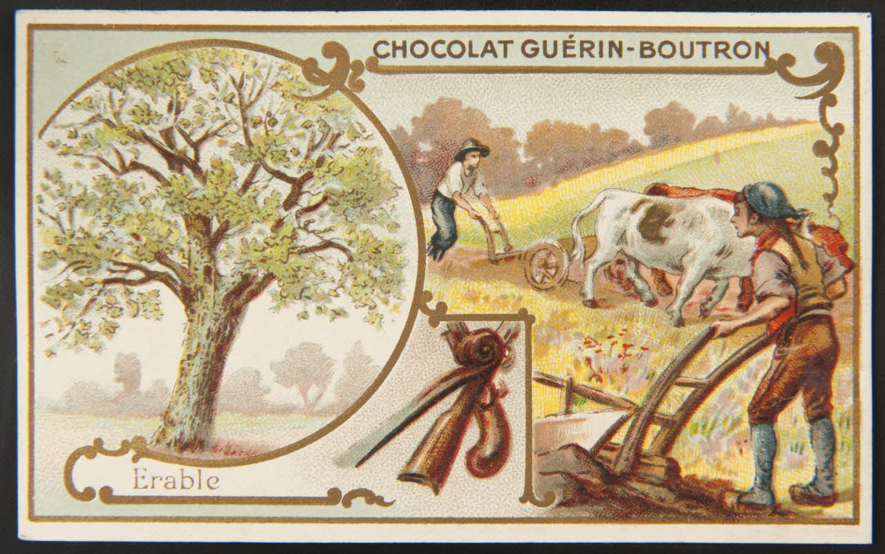 Herold; carte réclame chromo Paris 1895-1914 1995.1.221.34 Photo