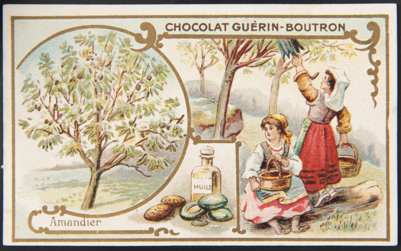 Herold; carte réclame chromo Paris 1895-1914 1995.1.221.5 Photo