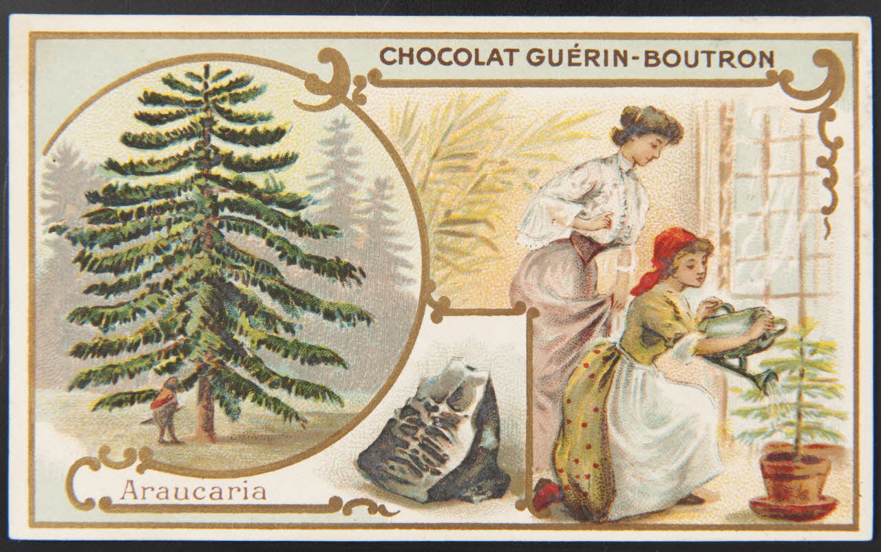Herold; carte réclame chromo Paris 1895-1914 1995.1.221.6 Photo