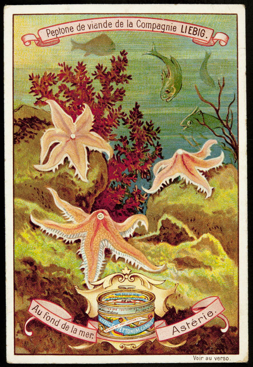Liebig carte réclame chromo Paris 1899 1995.1.2295.2 Photo