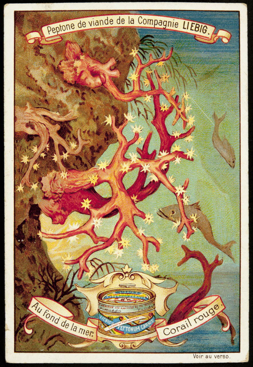 Liebig carte réclame chromo Paris 1899 1995.1.2295.3 Photo