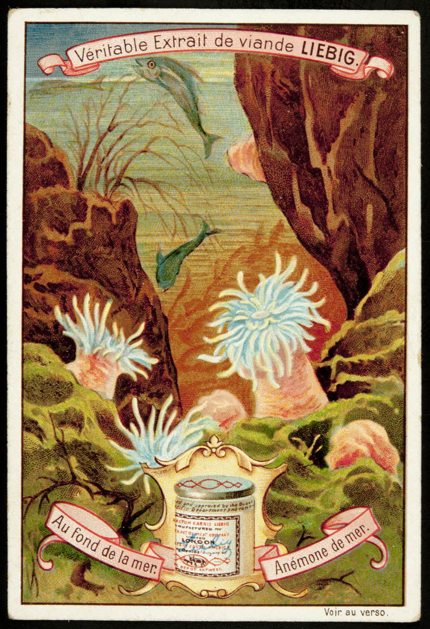 Liebig carte réclame chromo Paris 1899 1995.1.2295.6 Photo