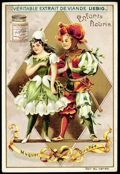 Liebig carte réclame chromo Paris 1898 1995.1.2296.3 Photo