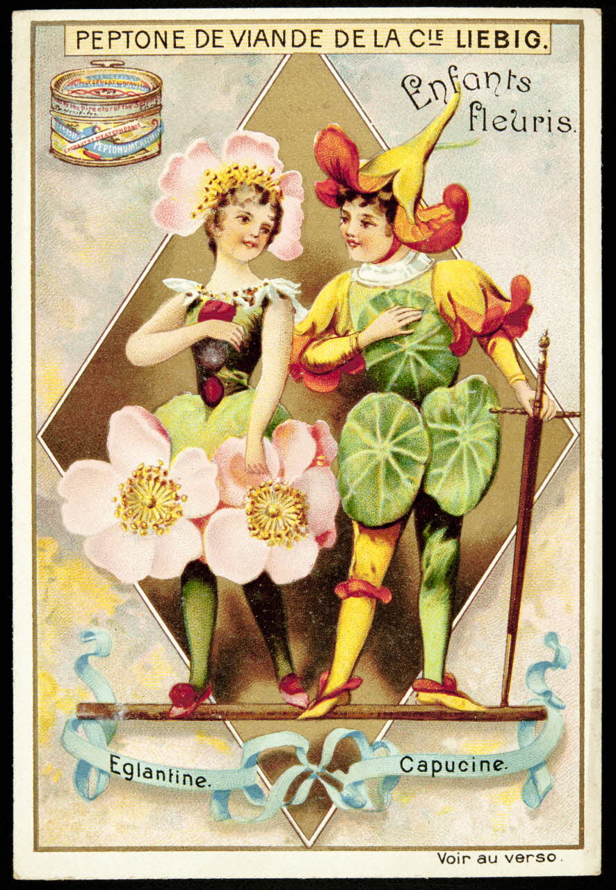 Liebig carte réclame chromo Paris 1898 1995.1.2296.5 Photo