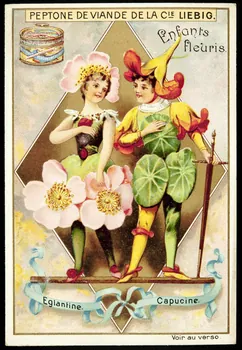 Liebig carte réclame chromo Paris 1898 1995.1.2296.5 Photo