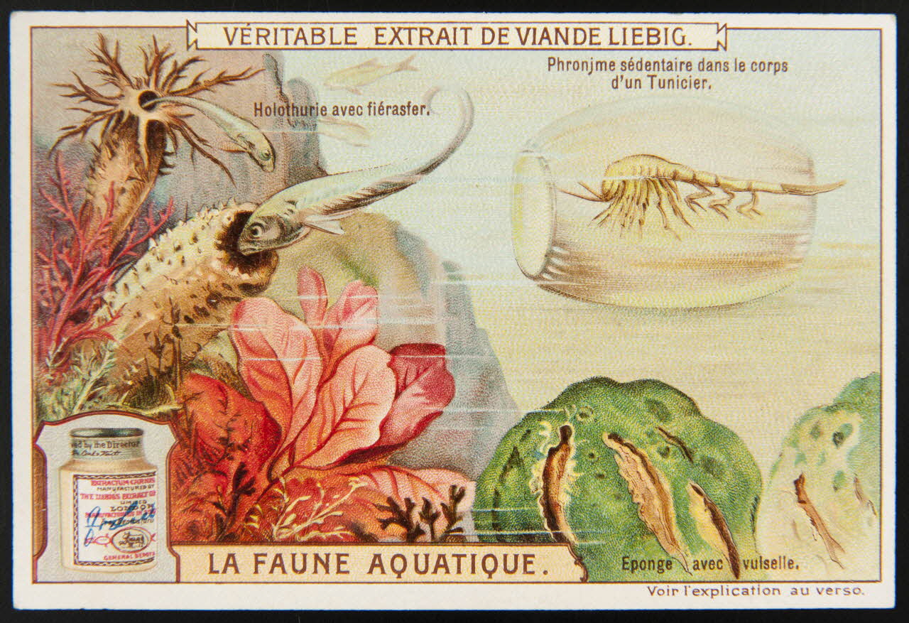 Liebig carte réclame chromo Paris 1908 1995.1.2297.4 Photo