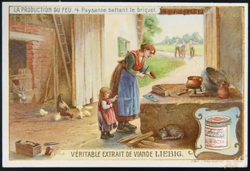 Liebig carte réclame chromo Paris 1908 1995.1.2305.4 Photo