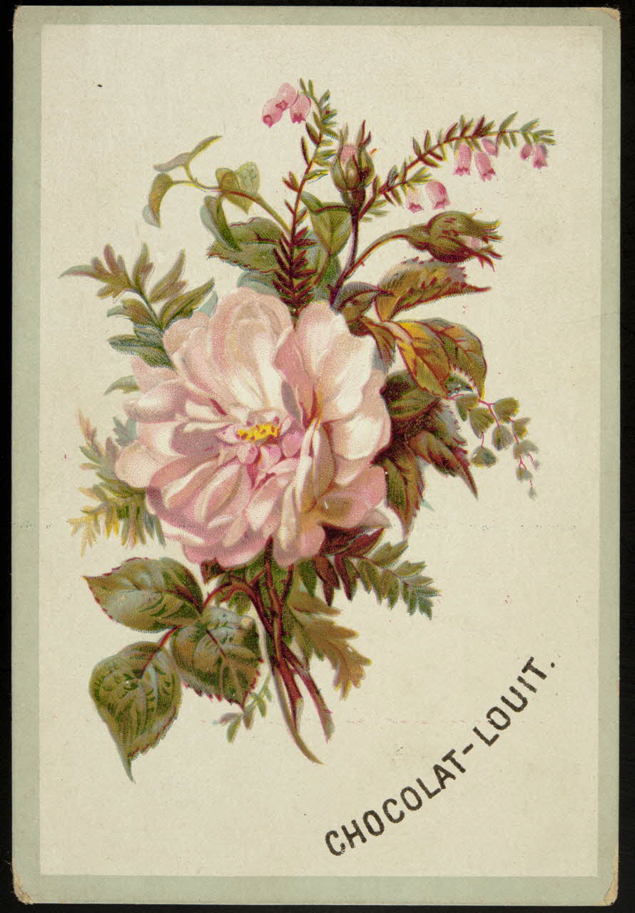 carte réclame chromo 1995.1.2342.2 Photo