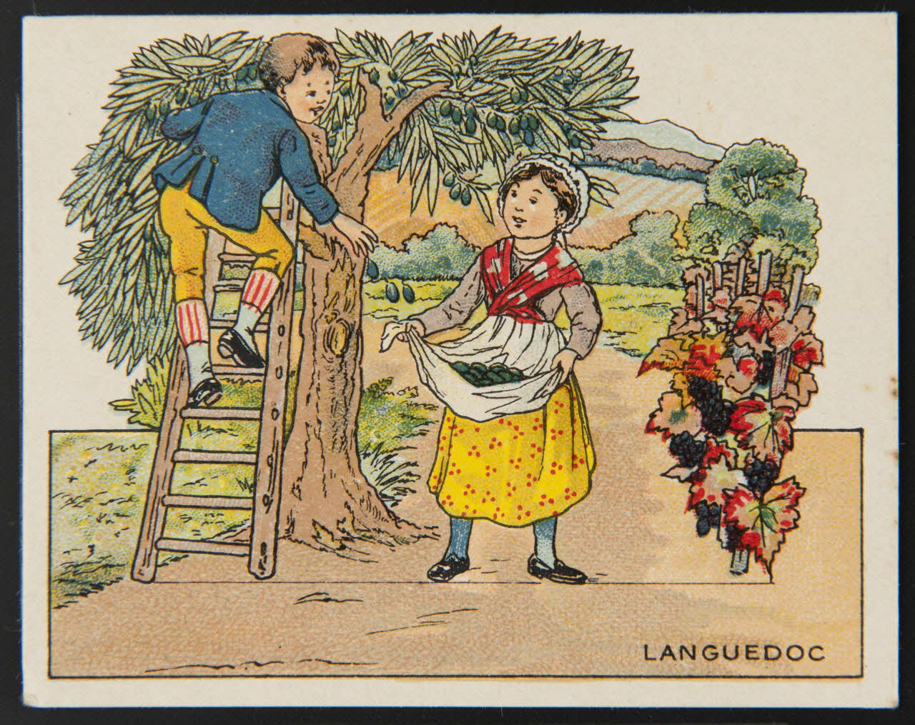 Michel Bouquet ; Michel Bouquet / Maurice Barry carte réclame chromo Paris 1910-1920 1995.1.2567.13 Photo