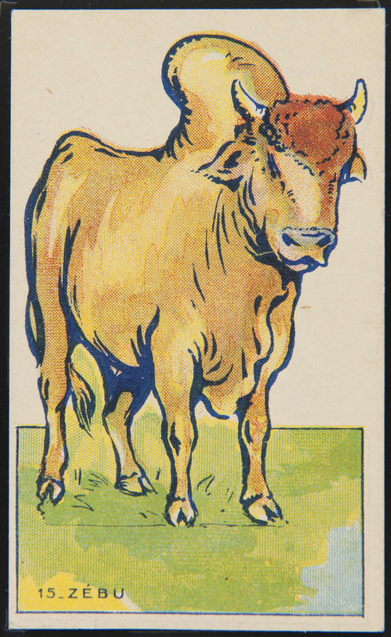 Michel Bouquet ; Michel Bouquet / Maurice Barry carte réclame chromo Paris 1910-1920 1995.1.2568.1 Photo