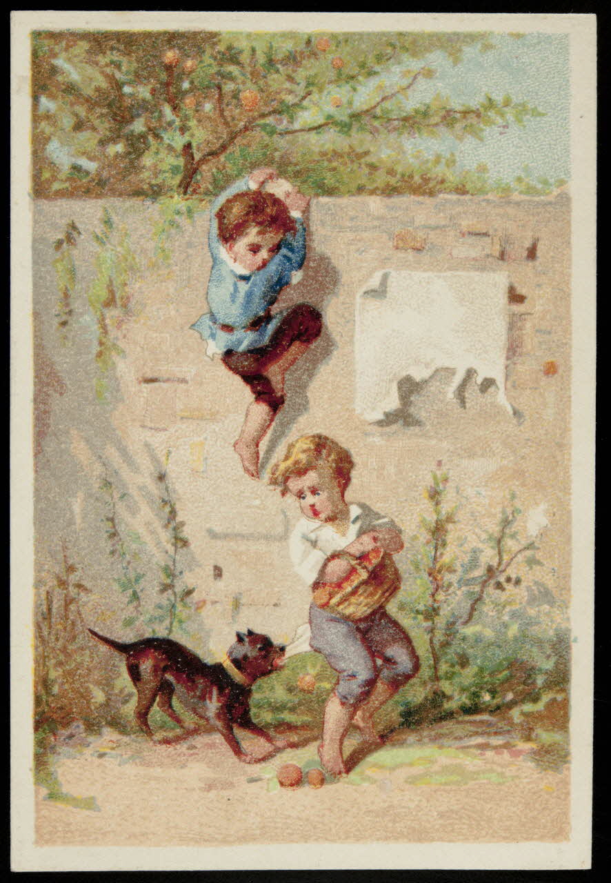 Testu & Massin ; Testu & Massin et F. Champenois & Cie carte réclame chromo Paris 1879-1886 1995.1.2690.6 Photo