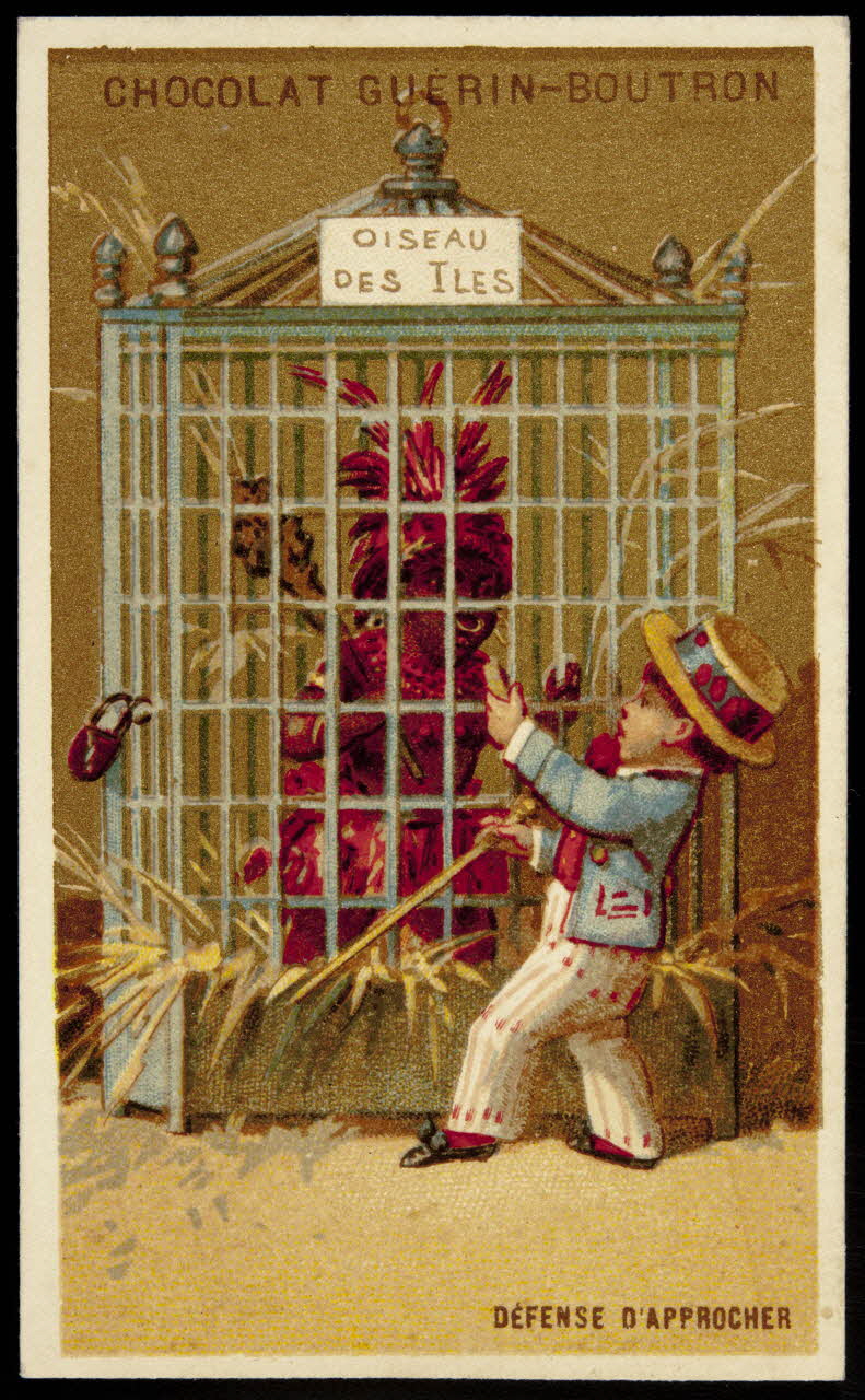 Testu & Massin ; Champenois & Cie carte réclame chromo Paris 1888-1889 1995.1.2691.1 Photo