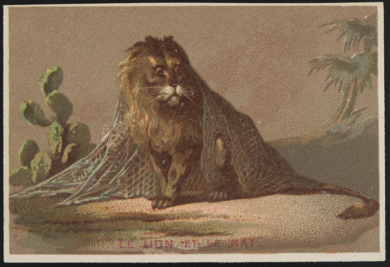 Bognard carte réclame chromo Paris 1876-1890 1995.1.2761.8 Photo