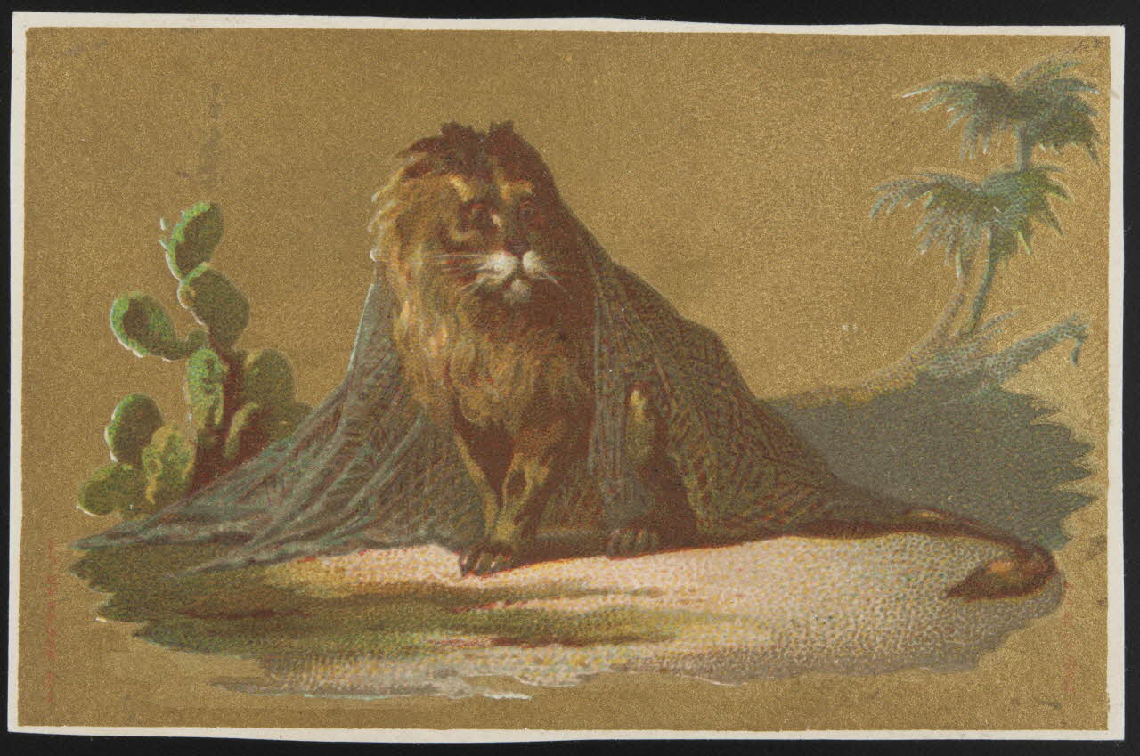 carte réclame chromo 1995.1.2762.11 Photo