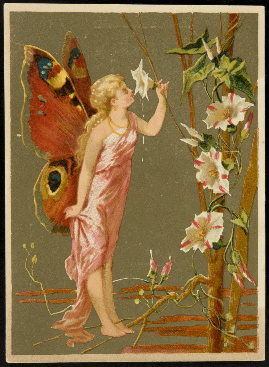 Bouillon-Rivoyre ; Foa E. carte réclame chromo Paris 1877-1893 1995.1.2815.3 Photo