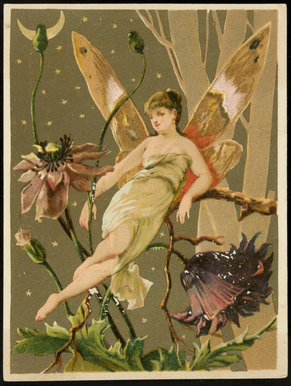 Bouillon-Rivoyre ; Foa E. carte réclame chromo Paris 1877-1893 1995.1.2815.4 Photo