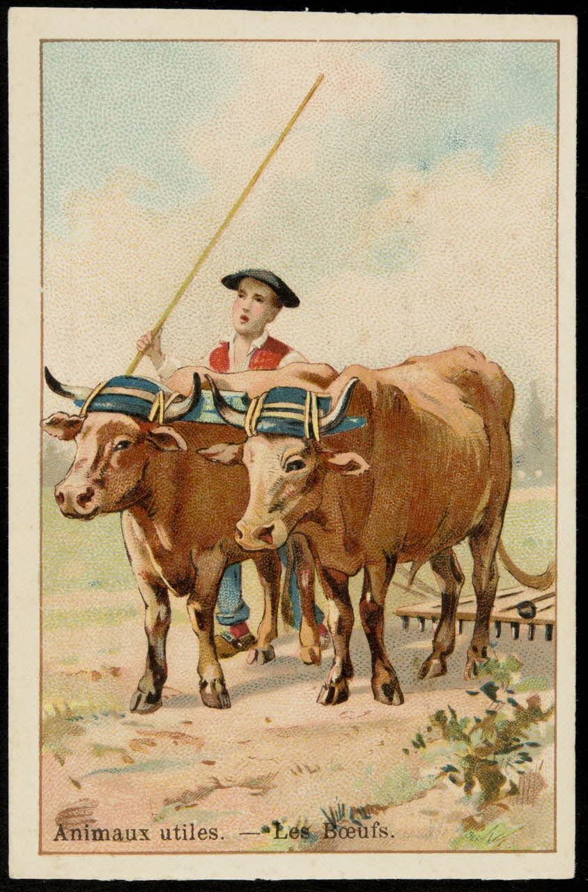 Bouillon-Rivoyre ; Norgeu A. carte réclame chromo Paris 1877-1893 1995.1.2837.2 Photo