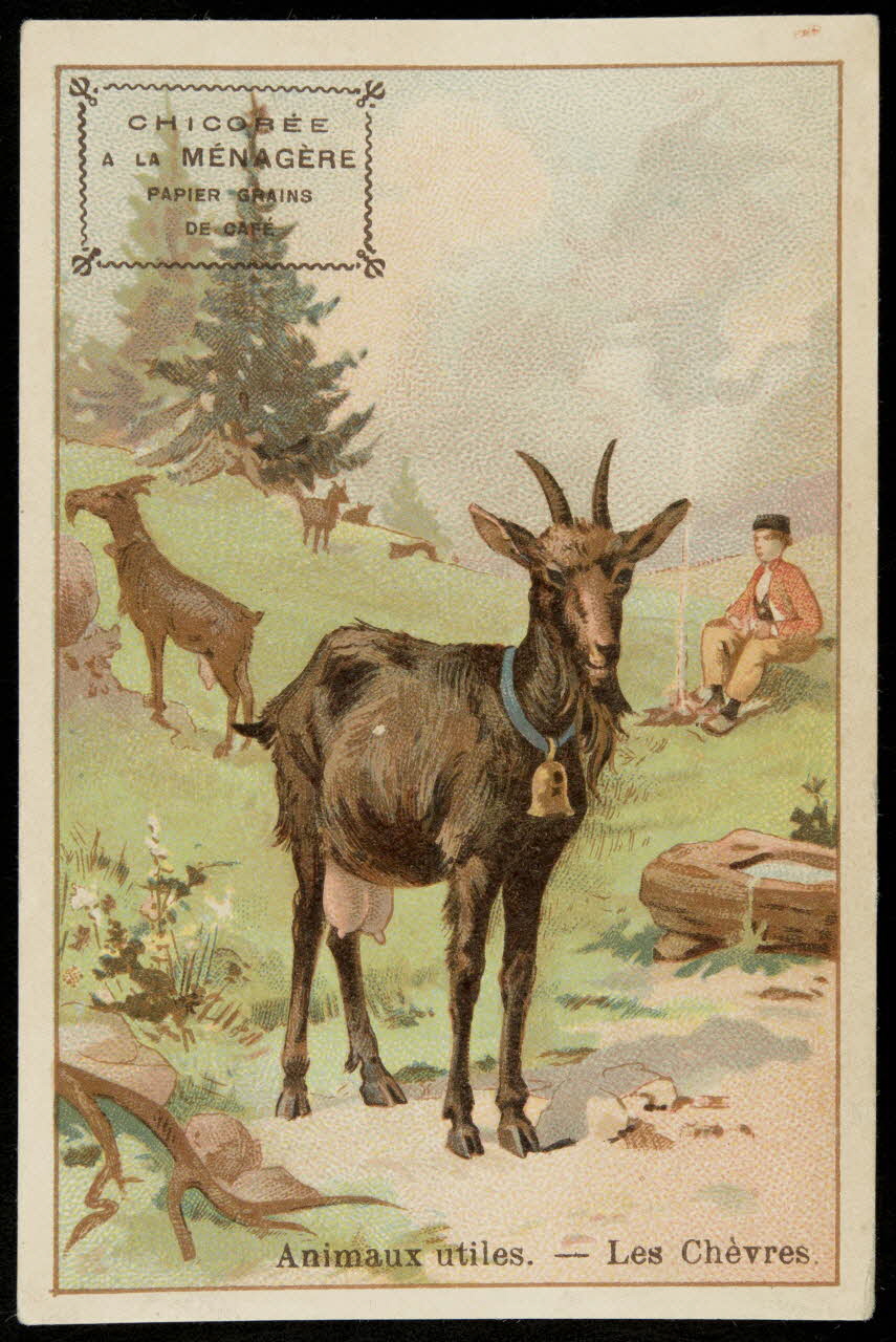 Bouillon-Rivoyre ; Gouweloos carte réclame chromo Paris 1877-1893 1995.1.2837.5 Photo