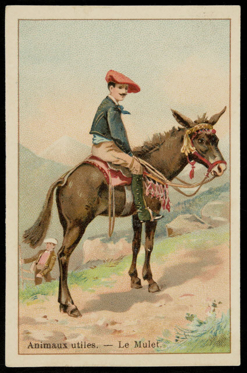 Bouillon-Rivoyre ; Norgeu A. carte réclame chromo Paris 1877-1893 1995.1.2837.7 Photo