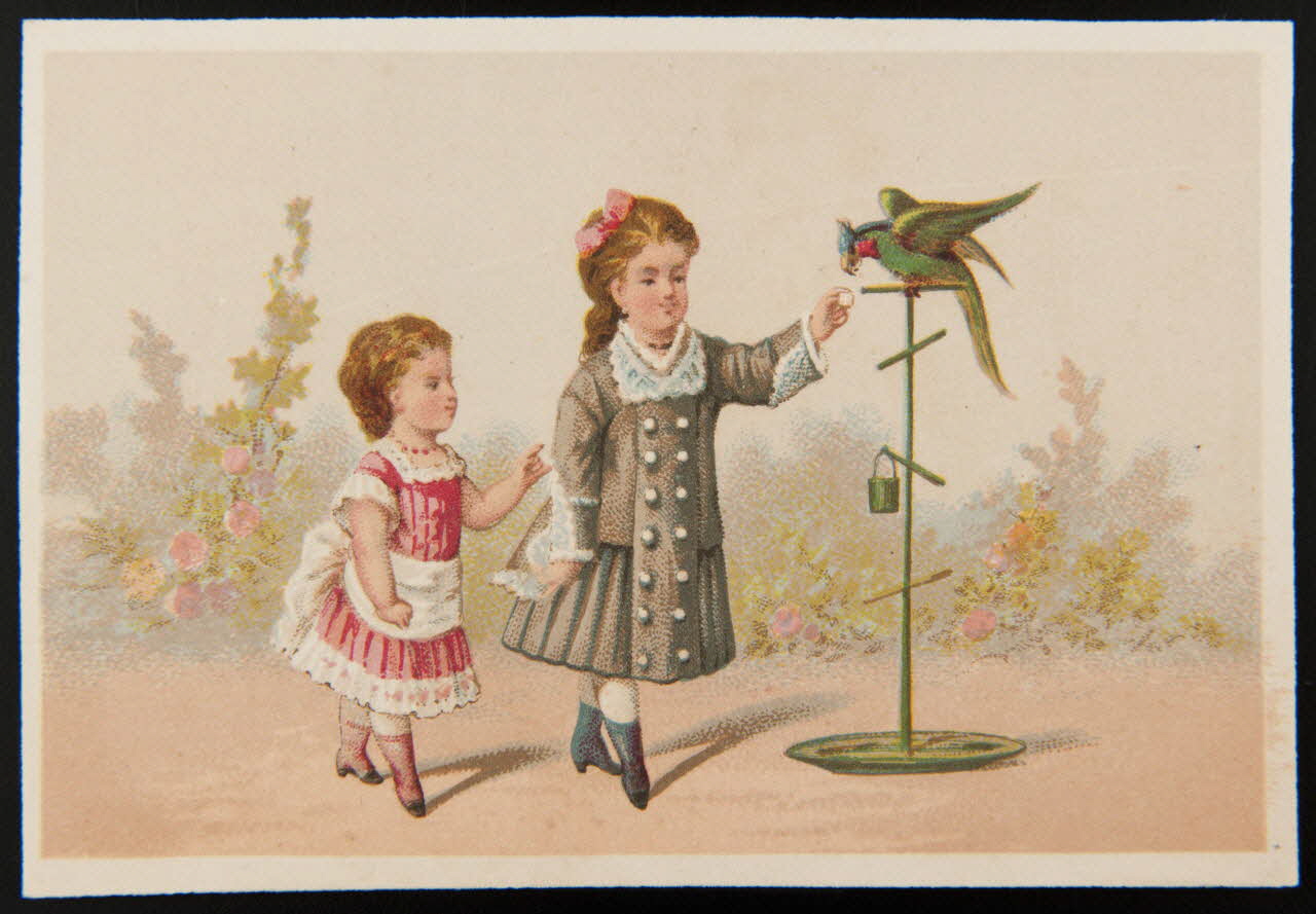 Testu & Massin carte réclame chromo Paris 1876-1903 1995.1.2852.15 Photo