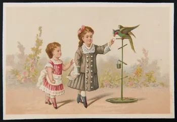 Testu & Massin carte réclame chromo Paris 1876-1903 1995.1.2852.15 Photo