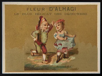 Testu & Massin carte réclame chromo Paris 1876-1878 1995.1.2854.33 Photo