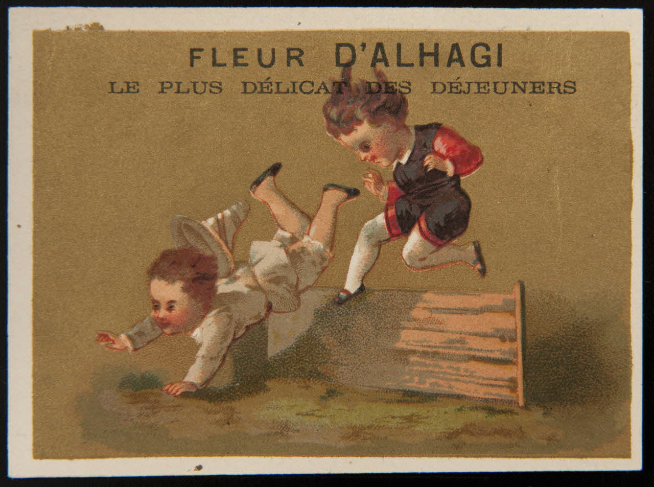 Testu & Massin carte réclame chromo Paris 1876-1878 1995.1.2854.38 Photo