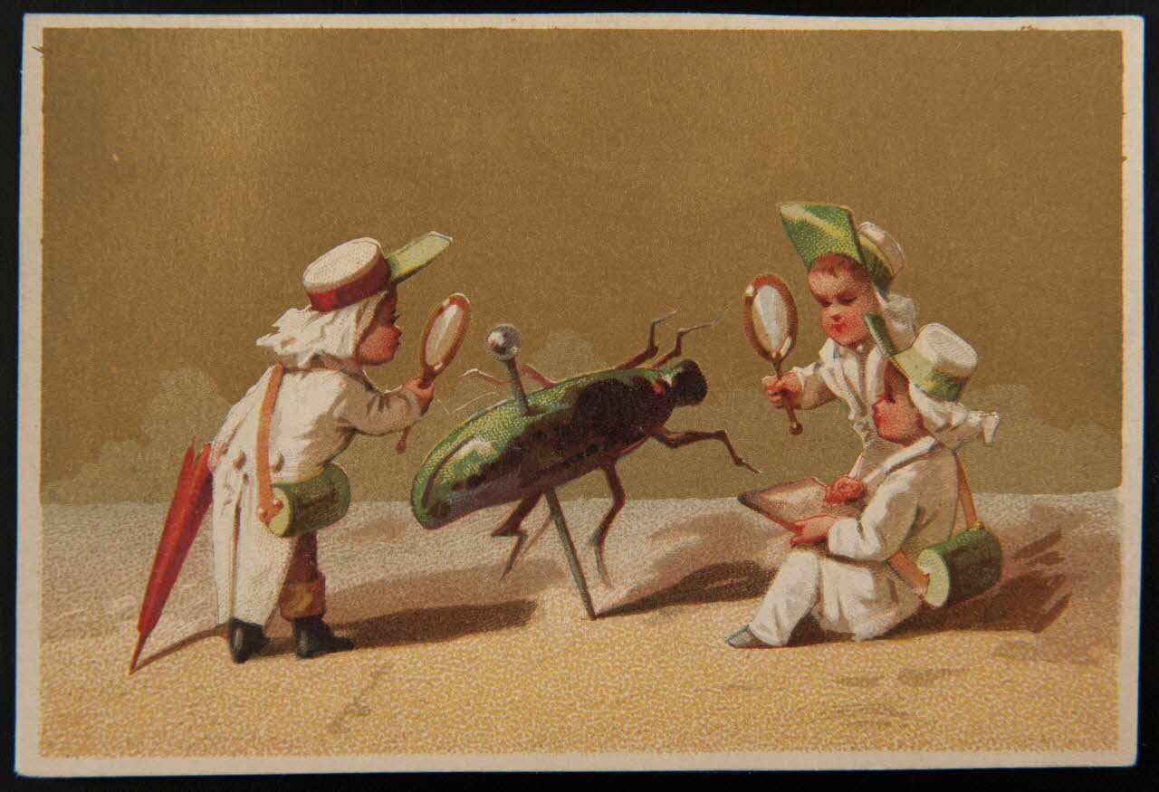 Testu & Massin carte réclame chromo Paris 1876-1903 1995.1.2856.1 Photo