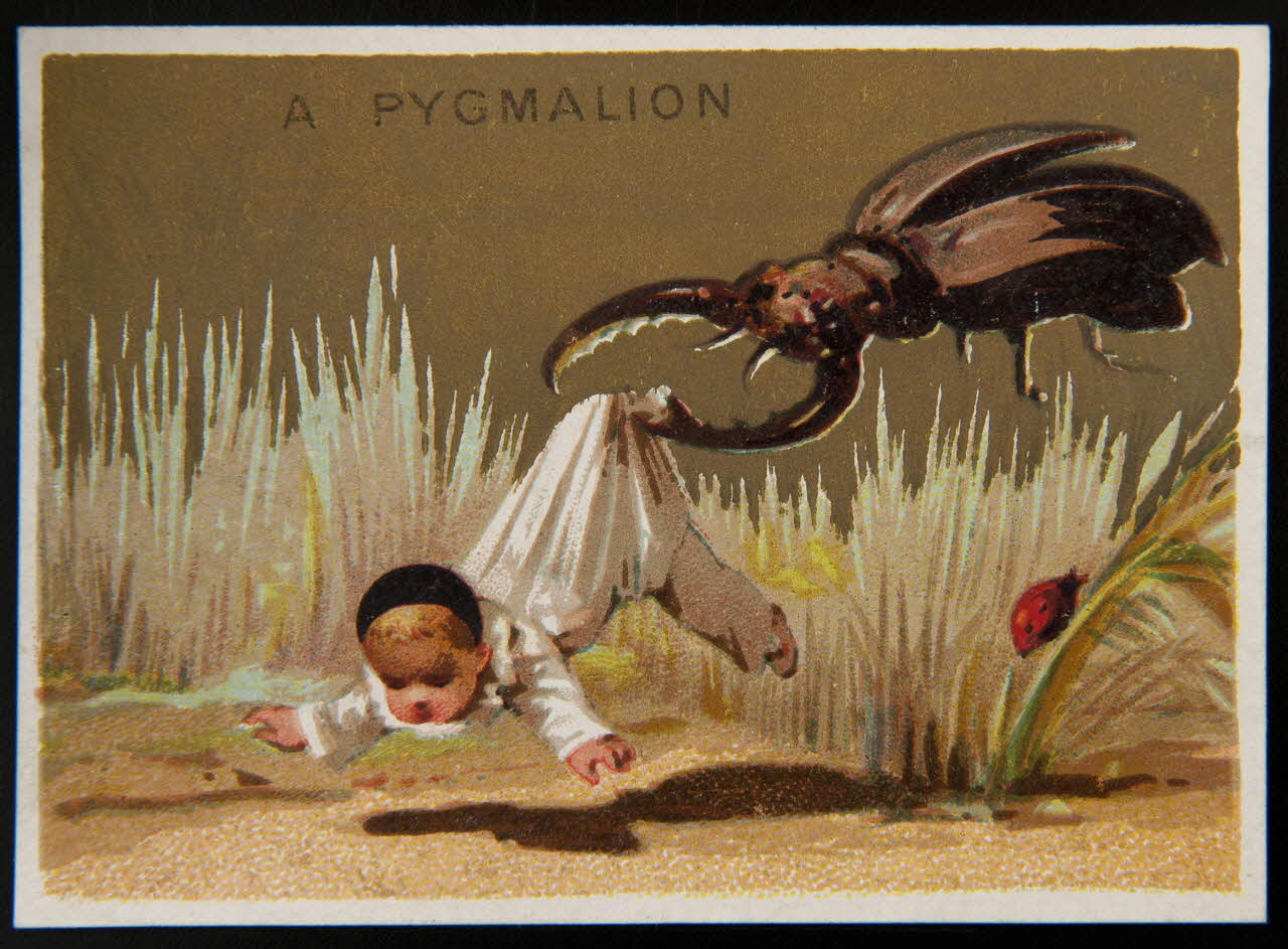 Testu & Massin carte réclame chromo Paris 1876-1903 1995.1.2856.3 Photo